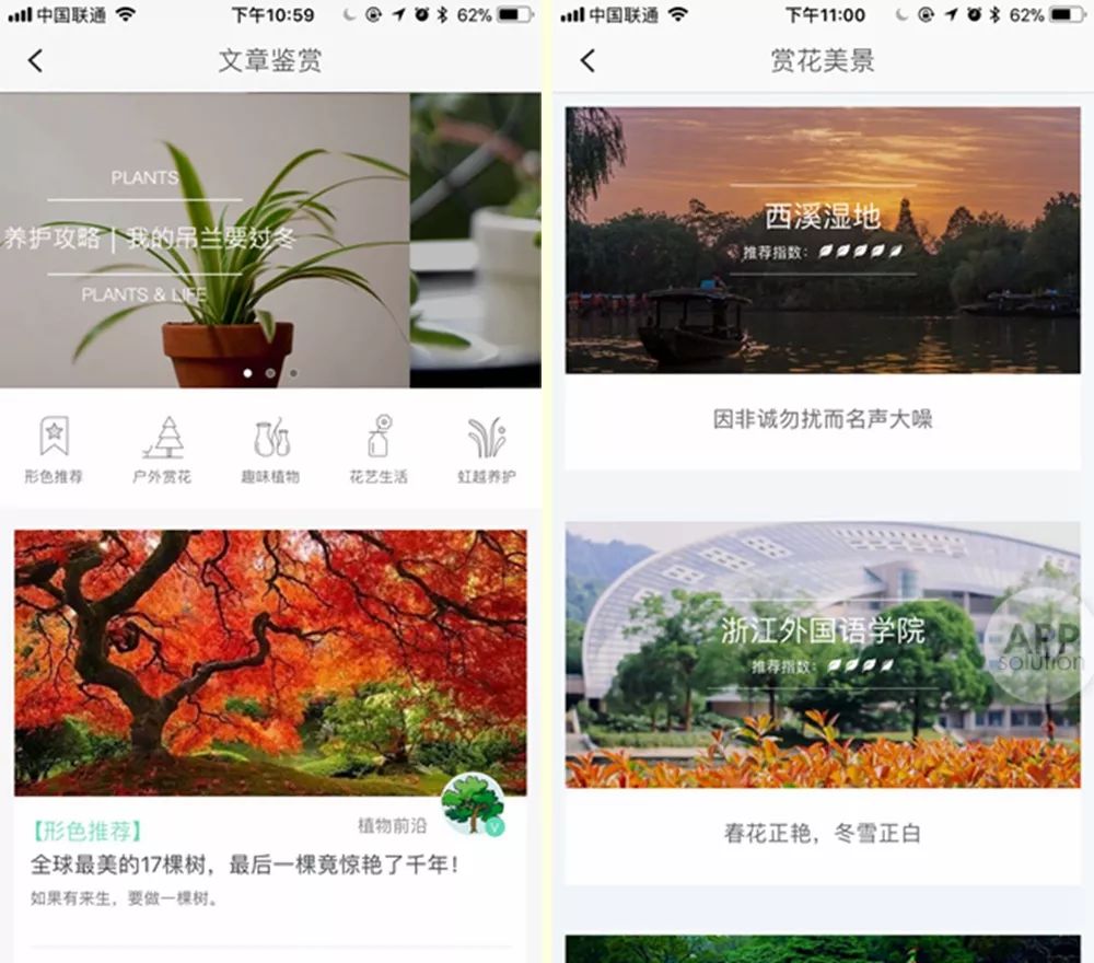 想知道那朵花的名字？试试用这三款 App 扫一扫