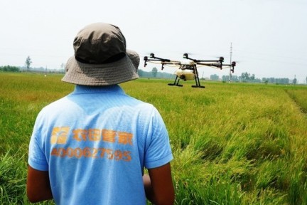 农田管家获5000万元A轮融资，想从无人机飞防扩展至农业共享服务平台