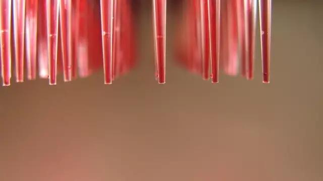 骗局终逆转！一家英国独角兽的“苹果式”迅速崛起之路