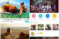 从安全、专业出发，看“暖窝”如何提供一次完美的宠物旅行？| NEXT Big