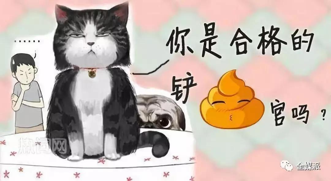 2018上半年观察记：你被哪些爆款内容牵引注意力？