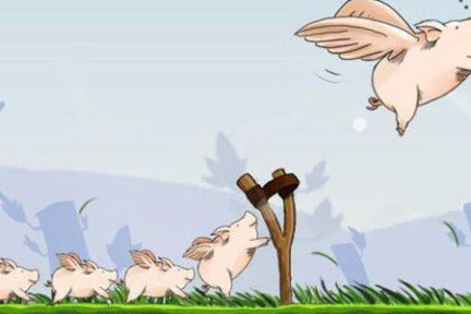 所谓风口，是在恰当的时间拥有了恰当的基础设施