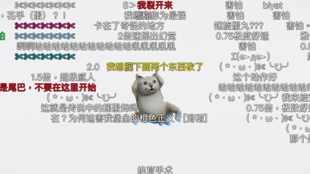 微博 B站流行的mur猫 为什么长这样 详细解读 最新资讯 热点事件 36氪