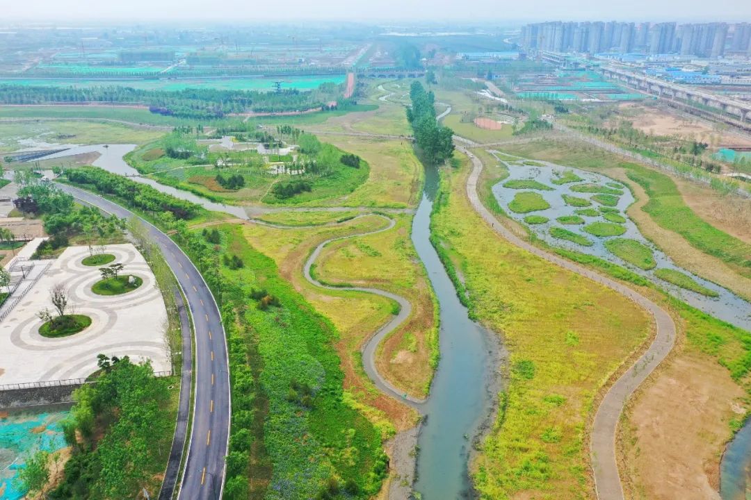 新渭沙湿地公园