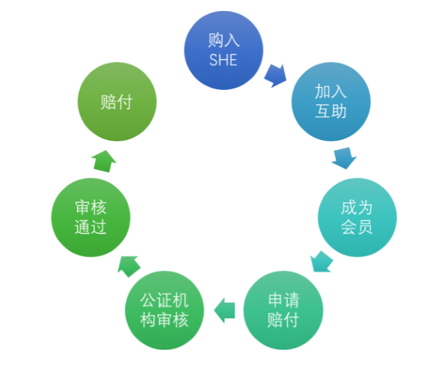 构建基于区块链的互助保障社区，「闪链」想解决传统保险行业的痛点