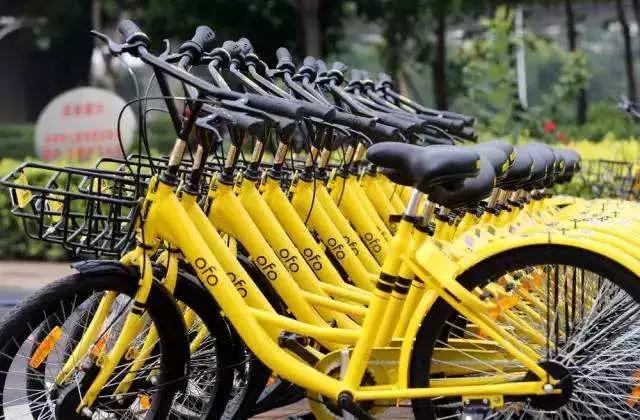 ofo：吸了资本的毒，戴威何“苦”？