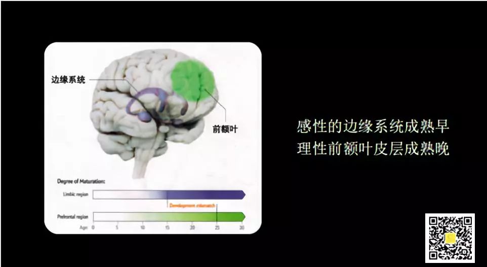 真正的高手，是能把理性练成直觉