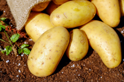 一周农业项目盘点：脱毒种薯生产技术企业E.G.G、中草药添加剂服务商GreenAcres、便携式食品污染物扫描仪Inspecto | 农业2025