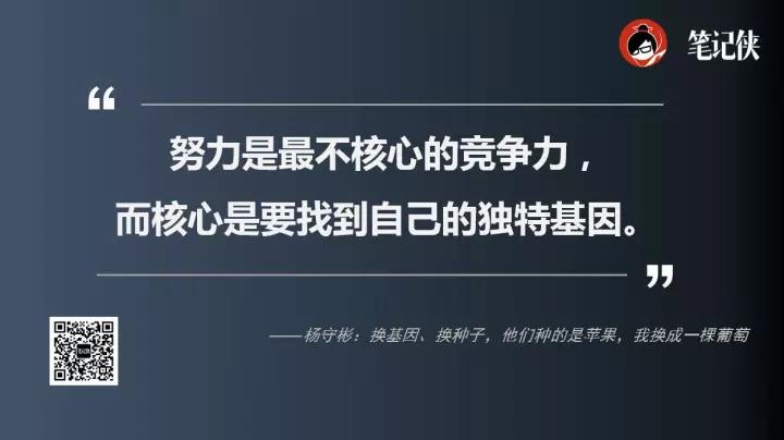 杨守彬：IP就是蒸在锅里的螃蟹，想红就必须忍着
