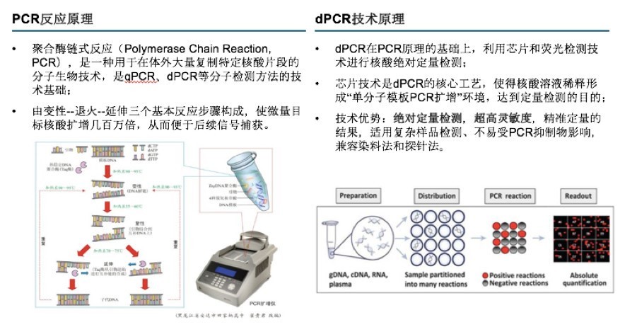 创丰研究 | 数字PCR行业深度研究报告