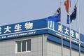 新华联“断臂”救文旅，这个冬天有点长