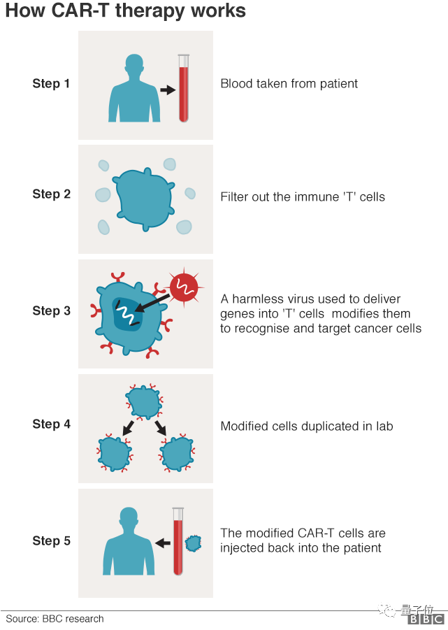 新发现的免疫细胞，可治疗现有多种癌症还不掉头发，最早11月进行人体试验