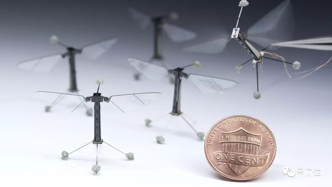 哈佛的机器人创新：会飞的“小蜜蜂”，还有穿在身上的机器人