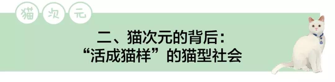 吸猫引导的新兴文化潮流：中国猫次元经济现象研究
