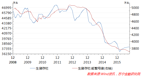 房地产退烧了，下一个价格疯涨的该是猪肉了