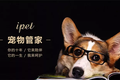 宠物医保＋宠物版大众点评？「ipet宠物管家」想一站式承包猫猫狗狗的吃喝玩乐