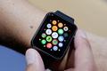 Apple Watch销售指导曝光，主推“3大关键功能”，多项措施促进销售全面增长