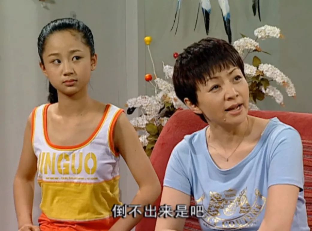 2005年,《我爱我家》执行导演林丛指导了一部新的情景喜剧《家有儿女