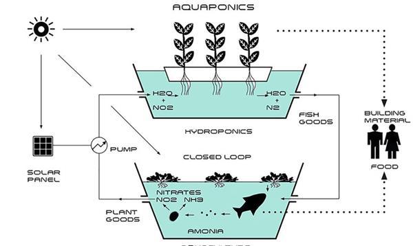 3D打印的未来住所：人、鱼、蔬菜共同生活的闭环生态系统