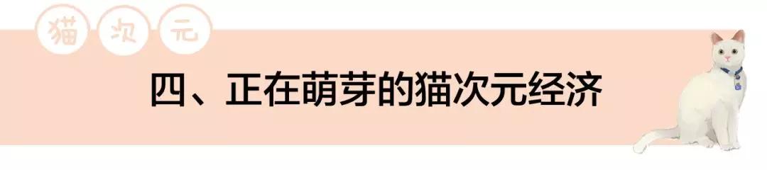 吸猫引导的新兴文化潮流：中国猫次元经济现象研究