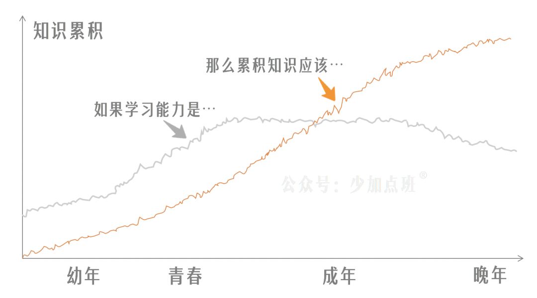 自毁简史：对一切“学习问题”来一次总清算