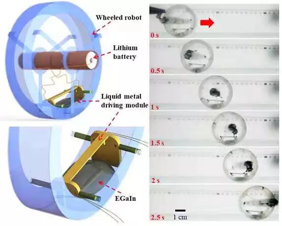 潮科技 | 离《终结者》T1000更近一步，液态金属驱动机器人研究取得进展