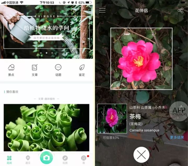 想知道那朵花的名字？试试用这三款 App 扫一扫