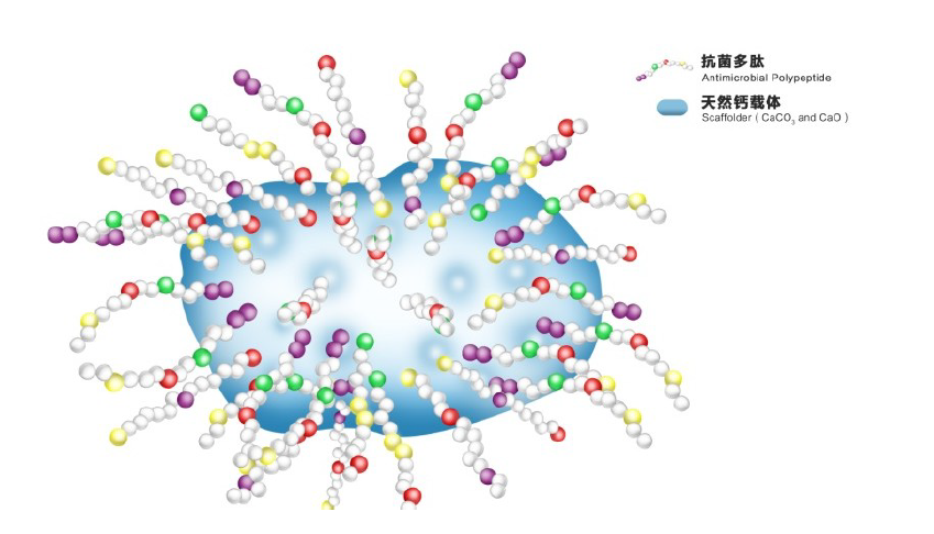 从虾蟹贝壳中制取生物新材料，「贝壳派」切入皮肤病治理，认为增量市场前景巨大