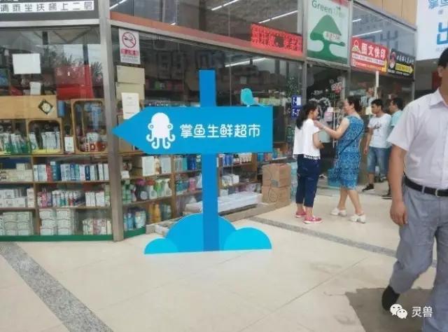 另类业态刀刀见血：盒马鲜生、掌鱼生鲜...搅局者们要割实体店的韭菜了吗？