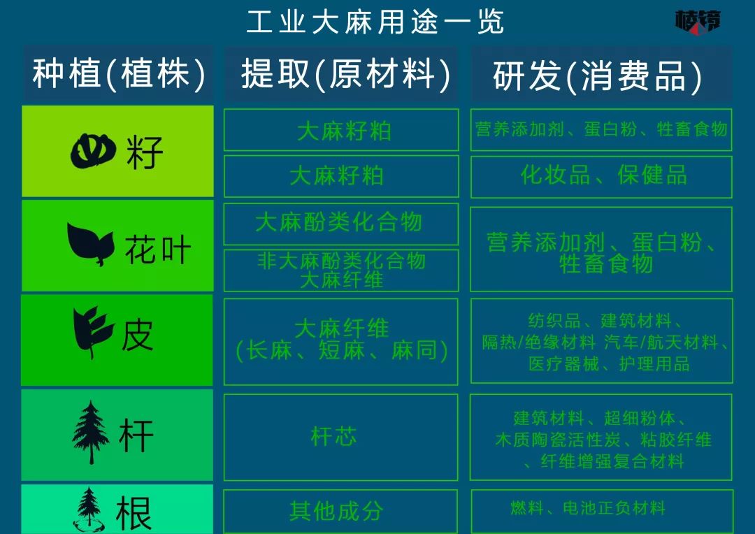 我在云南种大麻