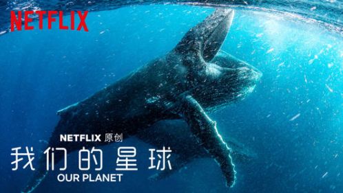 奥斯卡失意的Netflix，2020还有什么新故事可讲？