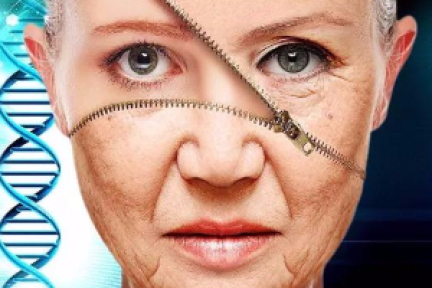 衰老的秘密正在揭开，医疗领域的技术创新将改变世界