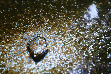 致力于占领全球市场，日本虚拟货币交易初创公司「Huobi Japan」获 460 万美元新融资