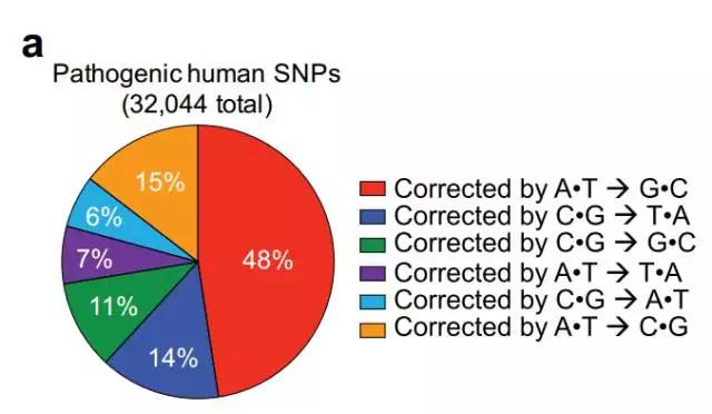 基因编辑的时代已经到来！华人科学家重排原子精准编辑基因