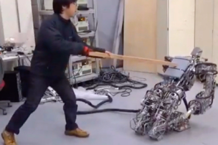 这些机器人从哪里跌倒就从哪里爬起来，不用人帮忙！