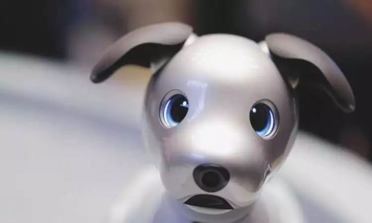 索尼电子狗 Aiba 是如何抚平人类寂寞的？