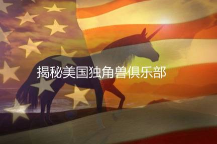 美国的互联网工具、在线教育和智能硬件市场有哪些独角兽？