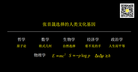 真正的高手，是能把理性练成直觉