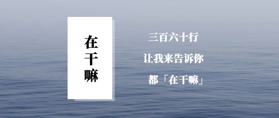 VC工具人的自白