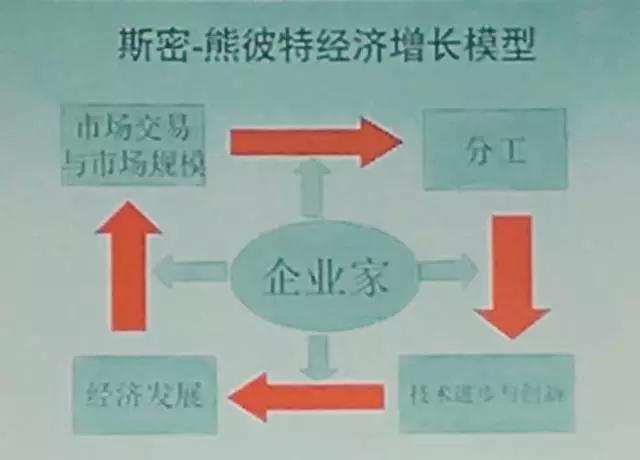 张维迎：别让套利机会主义者，扼杀了企业家精神