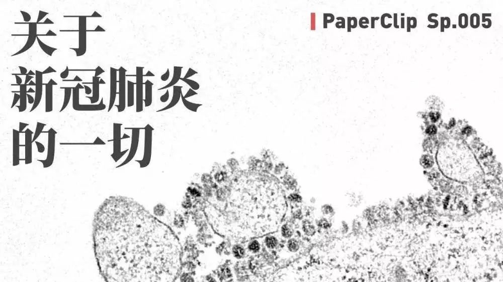 疫情之下，我们为啥还要做品牌营销？到底该怎么做？