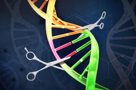 真格投资的Synthego公司推出CRISPRevolution产品，用于提高基因编辑实验效率