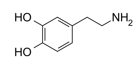 被算法量产的「沉迷」