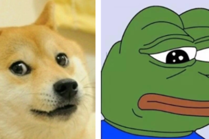 锦鲤,炫富摔倒,假笑男孩……剖析爆款内容的5大核心基因