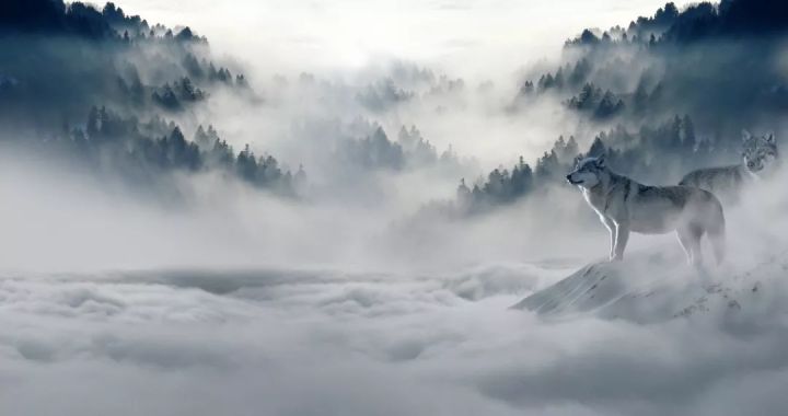 寒冬焦虑中的22问：现在是换工作的好时候吗？