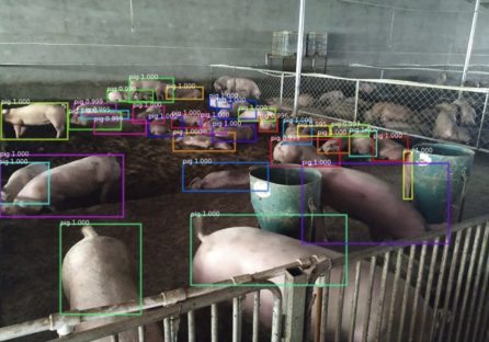 主张无接触、无应激式AI养猪，「小龙潜行」实现低成本的生猪识别|农业2025