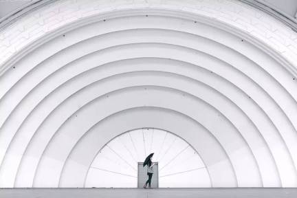 当“黑天鹅”正在成为“新常态”