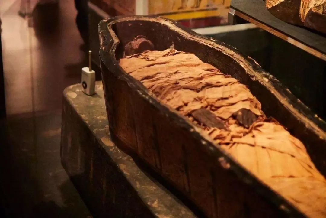 木乃伊发声,他「说」了什么