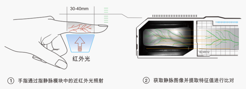 指静脉识别方案正走向成熟，「微盾科技」想从智能门锁和健身房突破市场