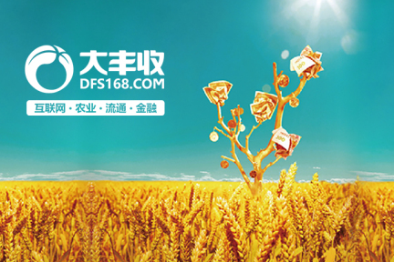 农资电商低价策略下如何尽早赚钱？大丰收想谈谈经验